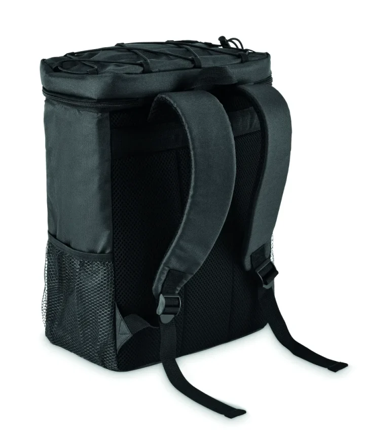 mo2971-03-back